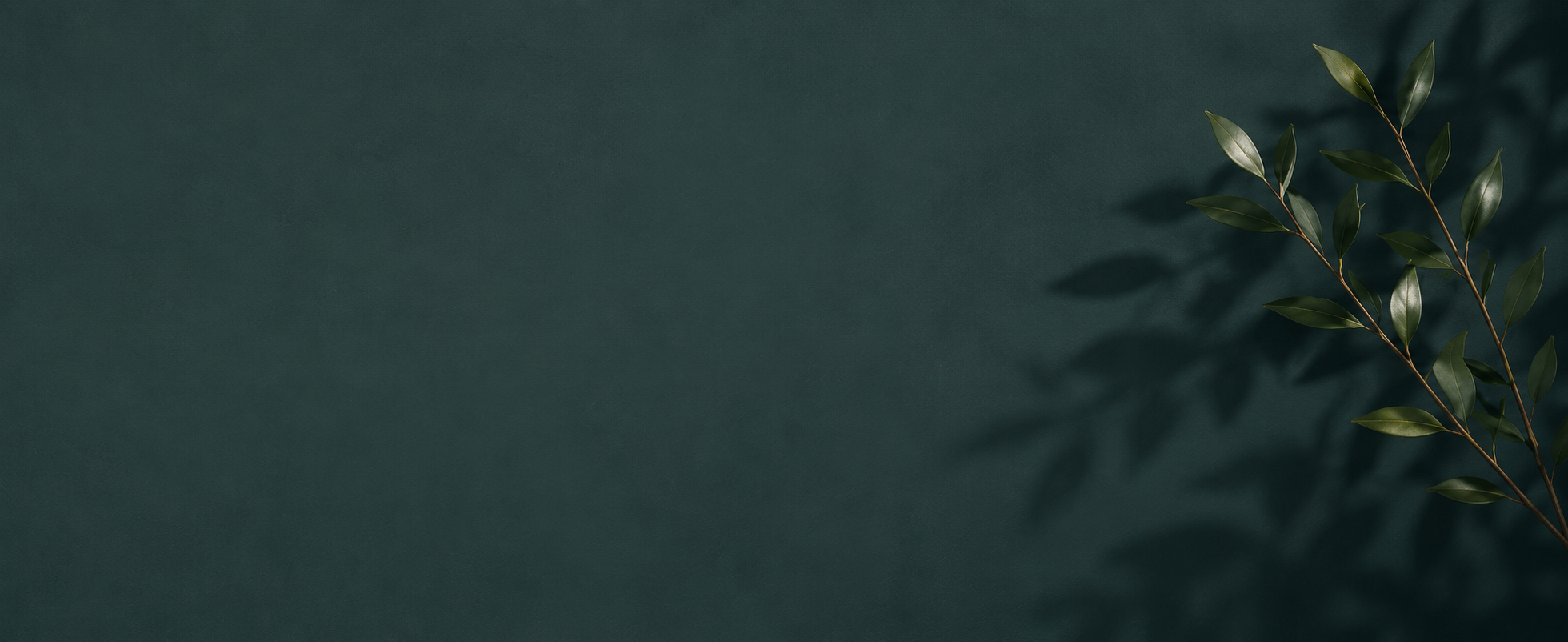 Soft green and blue abstract background with natural foliage, creating a calm and welcoming professional atmosphere.