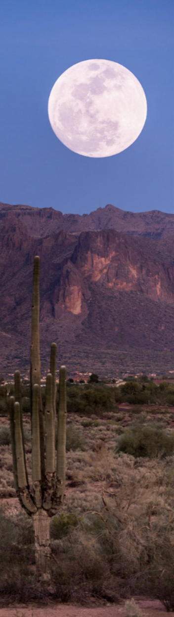 Full moon rising over a desert landscape with a tall saguaro cactus and rugged mountain range in the background.