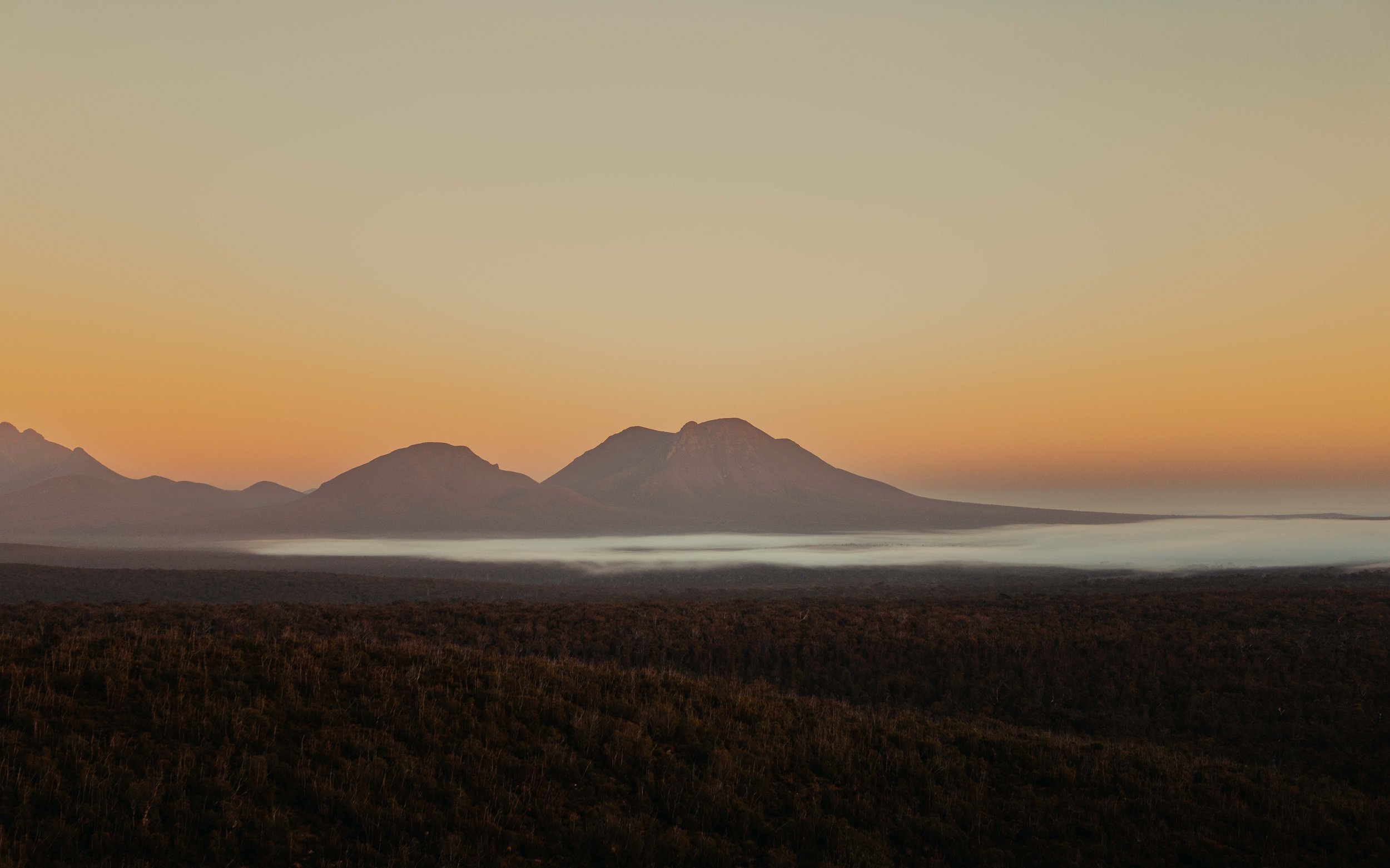 BEN DAVIDSN FAVOURITES-4796.jpg