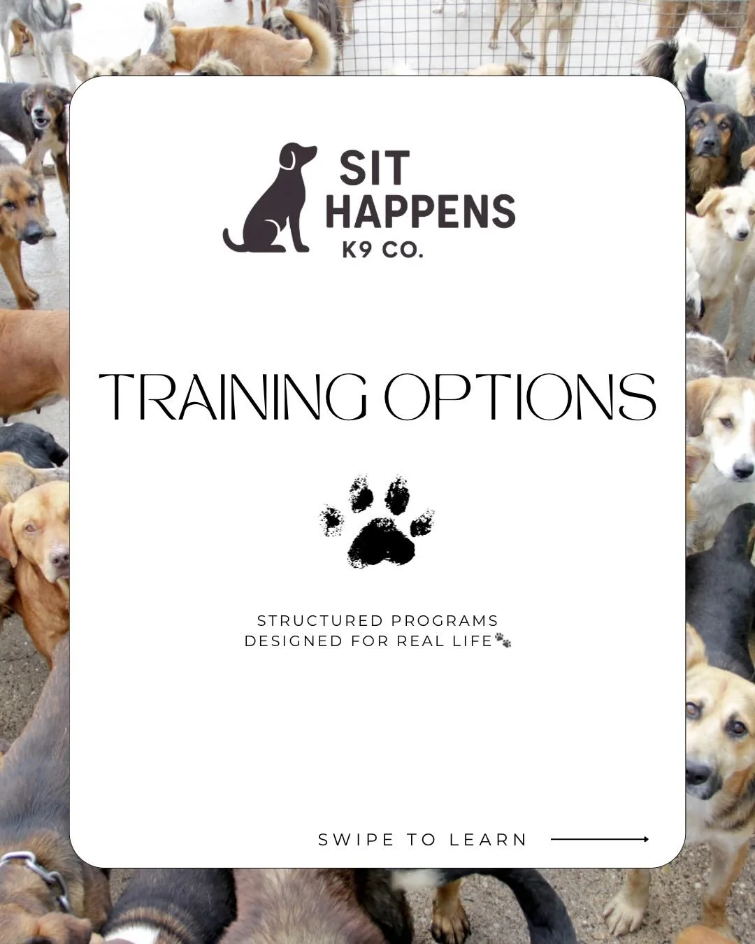 A lot of people think dog training is just teaching commands&hellip; but there&rsquo;s so much more that goes into it 🐾

For some dogs, training means learning how to walk nicely on leash. For others, it&rsquo;s learning how to stay calm, make bette