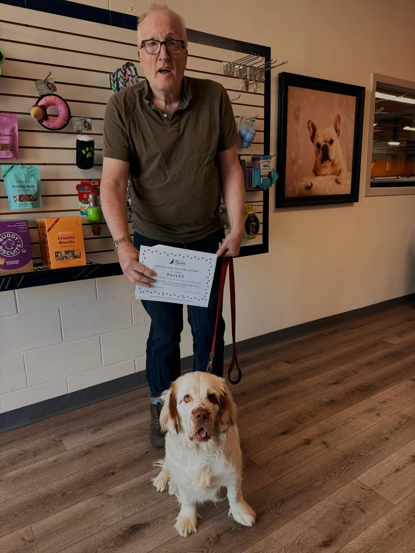 Board &amp; Train Graduate Bailey 🎓🐾

Bailey came into the program needing help with leash manners, recall, and learning how to stay more neutral around people and dogs.

Over the course of training, we focused on building consistency, improving he