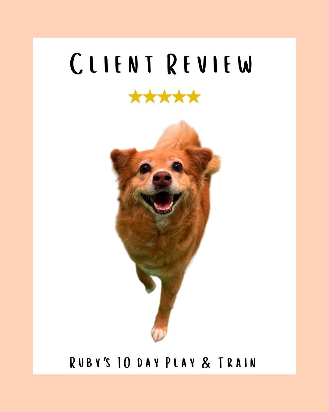 Client review 🐾

Working with Ruby and seeing her confidence build over time has been such a rewarding process. Every dog comes in with their own challenges, and my goal is always to help them become more comfortable, focused, and balanced in everyd