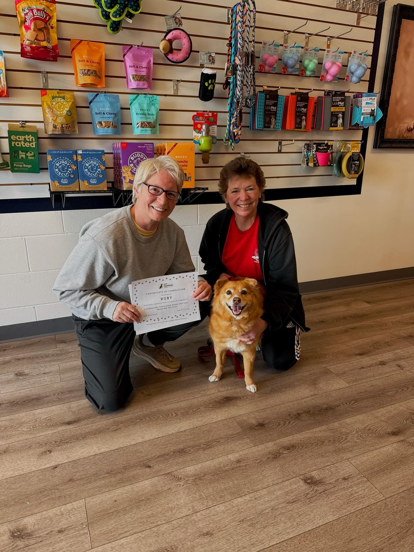 Play &amp; Train Graduate Ruby 🎓🐾

Ruby came into the program needing help with neutrality, stranger sensitivity, and working through environmental triggers like movement over her head. 

Over the course of training, we focused on building her conf