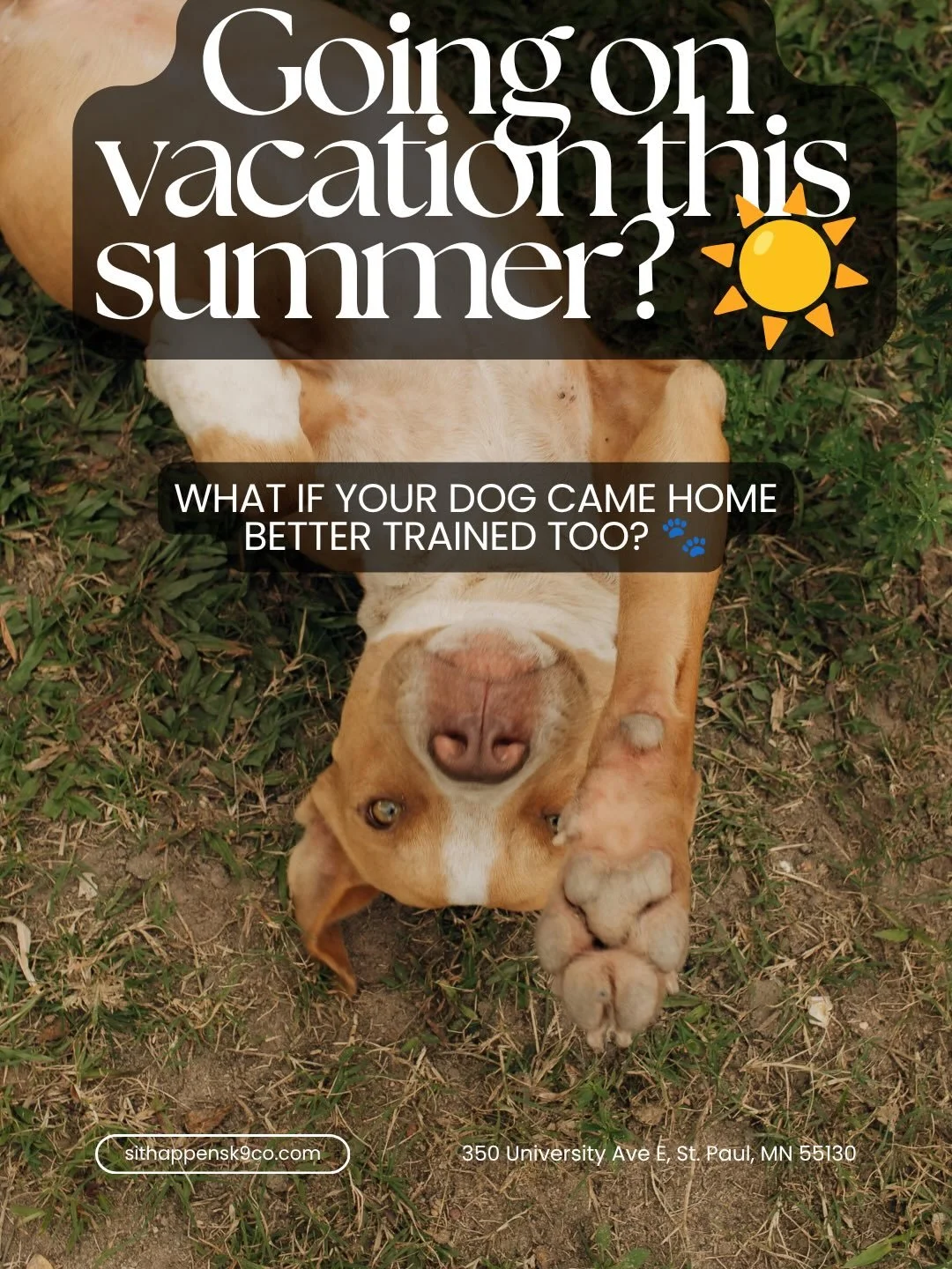 Going on vacation this summer? ☀️🐾

What if your dog came home better trained too?

Instead of just boarding, your dog will spend their stay building better obedience, leash skills, engagement, impulse control, and real-world reliability 🖤

Limited