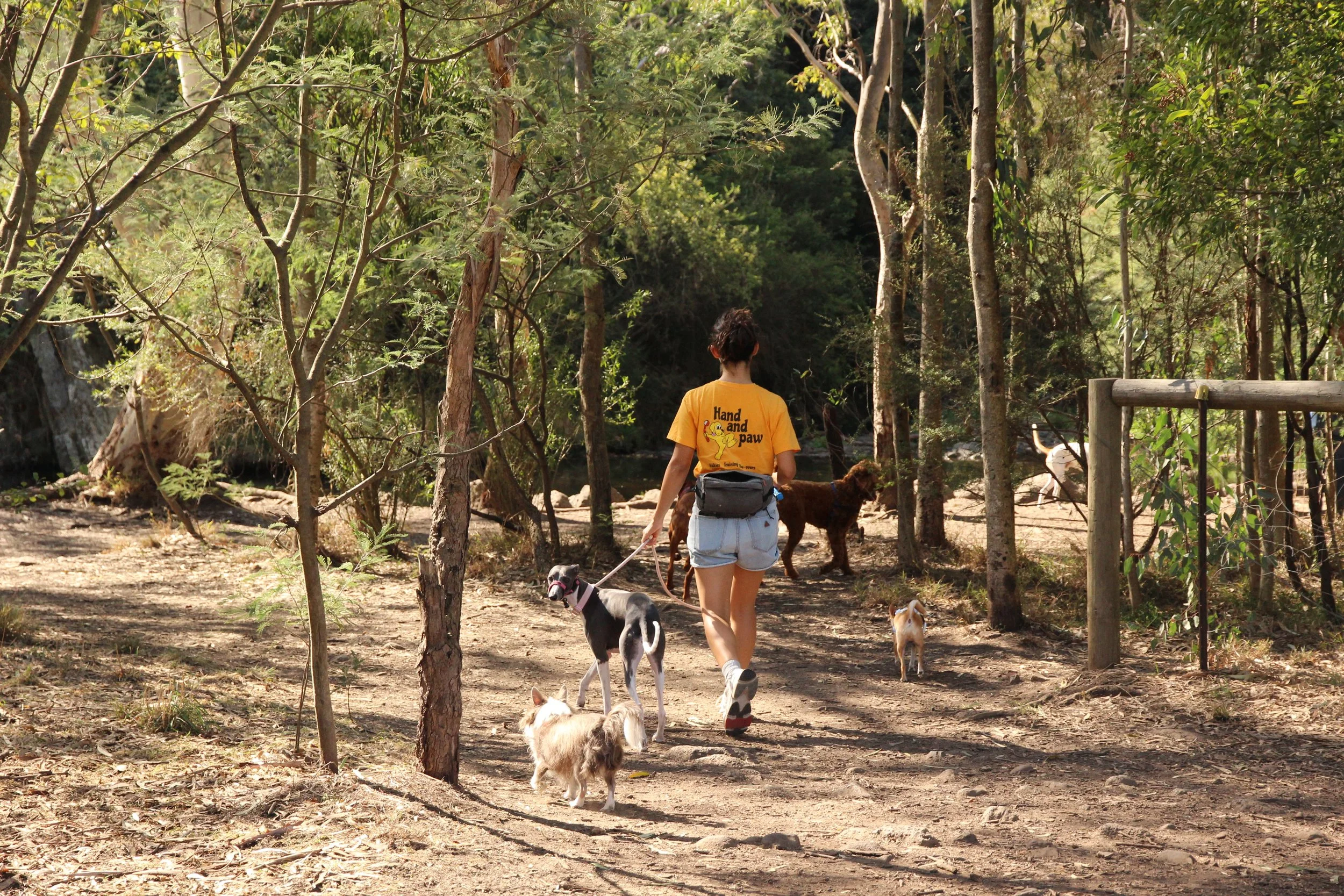 Walkies service