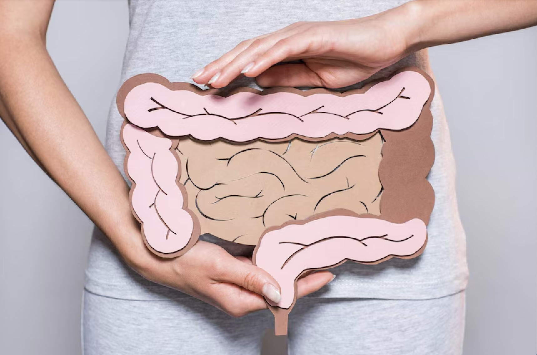 A person holding a diagram of the human digestive system against their stomach, showing the intestines and other organs in a simplified illustration.