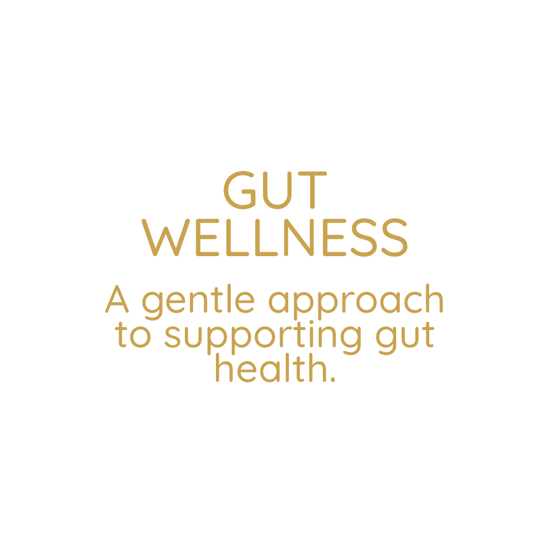 Text on a white background reads: "GUT WELLNESS A gentle approach to supporting gut health."