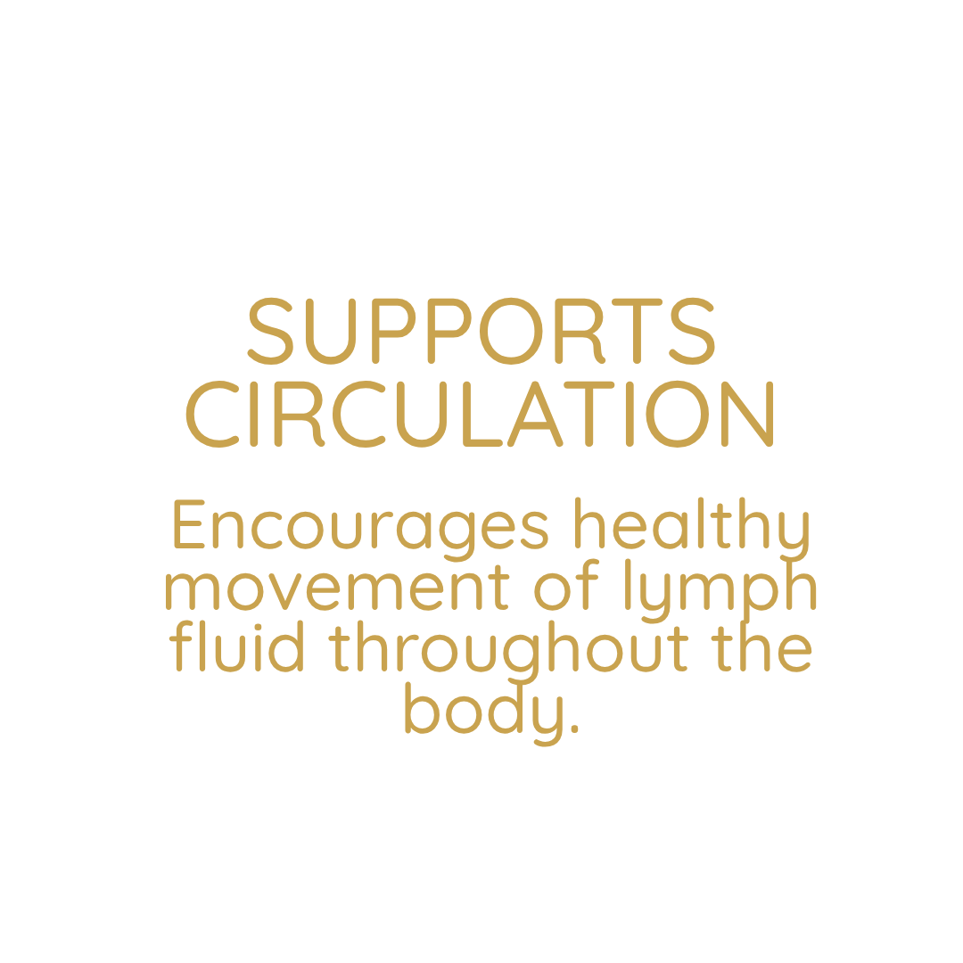 Text on a white background that reads 'Supports Circulation. Encourages healthy movement of lymph fluid throughout the body.' in brownish gold font.