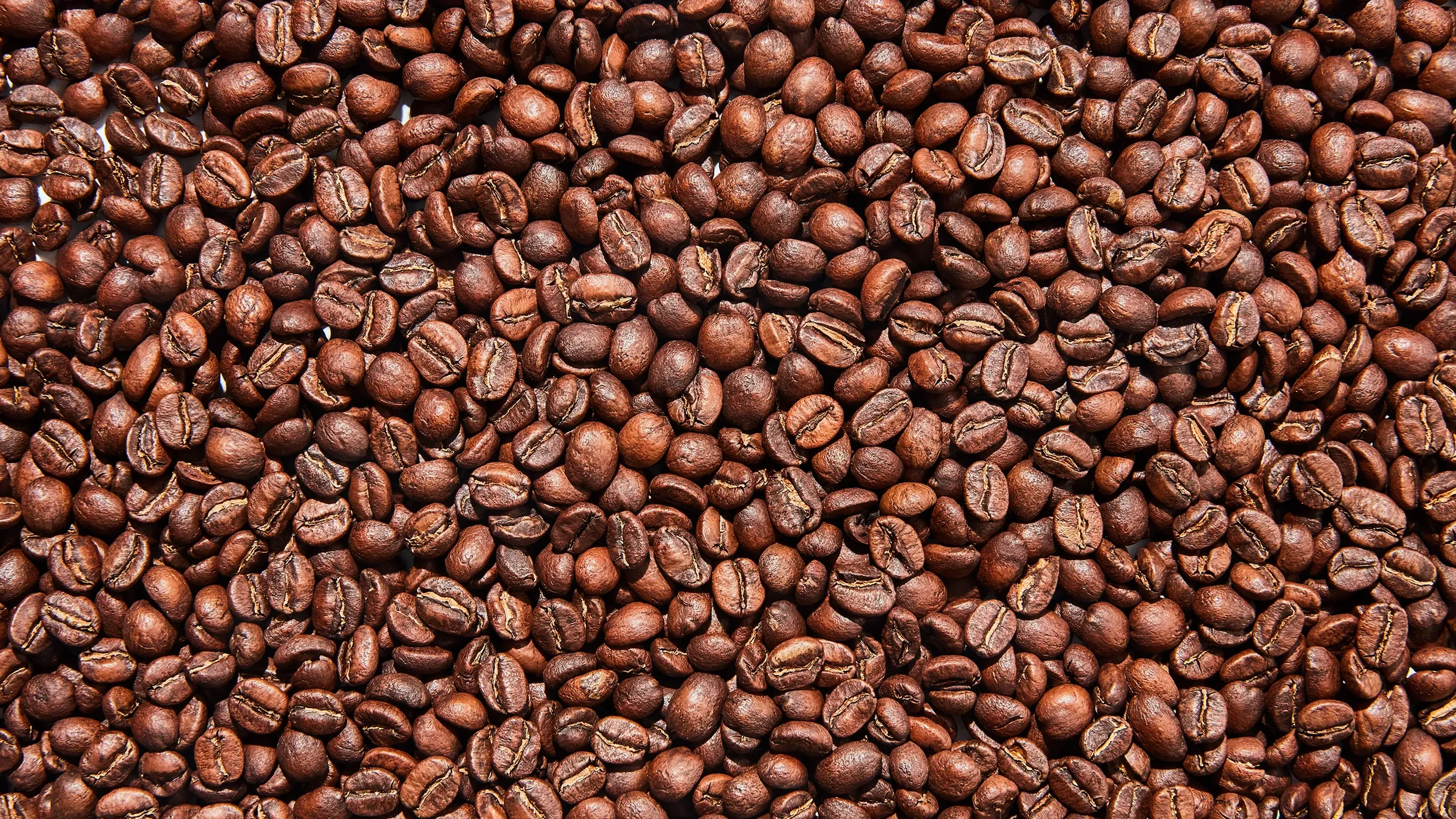 A picture of coffee beans
