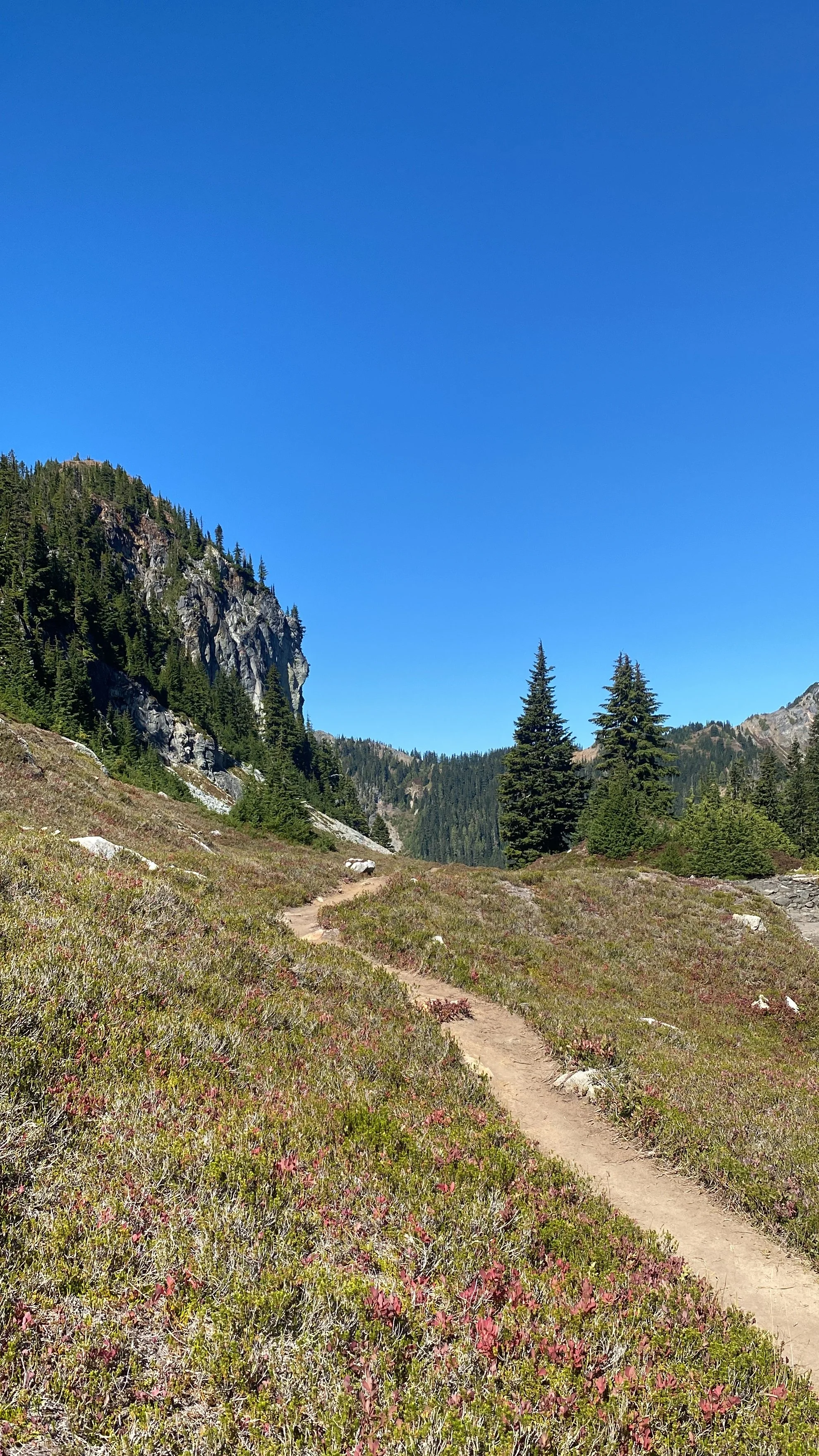 A mountain landscape with a dirt trail, green trees, rocky cliffs, and a clear blue sky.