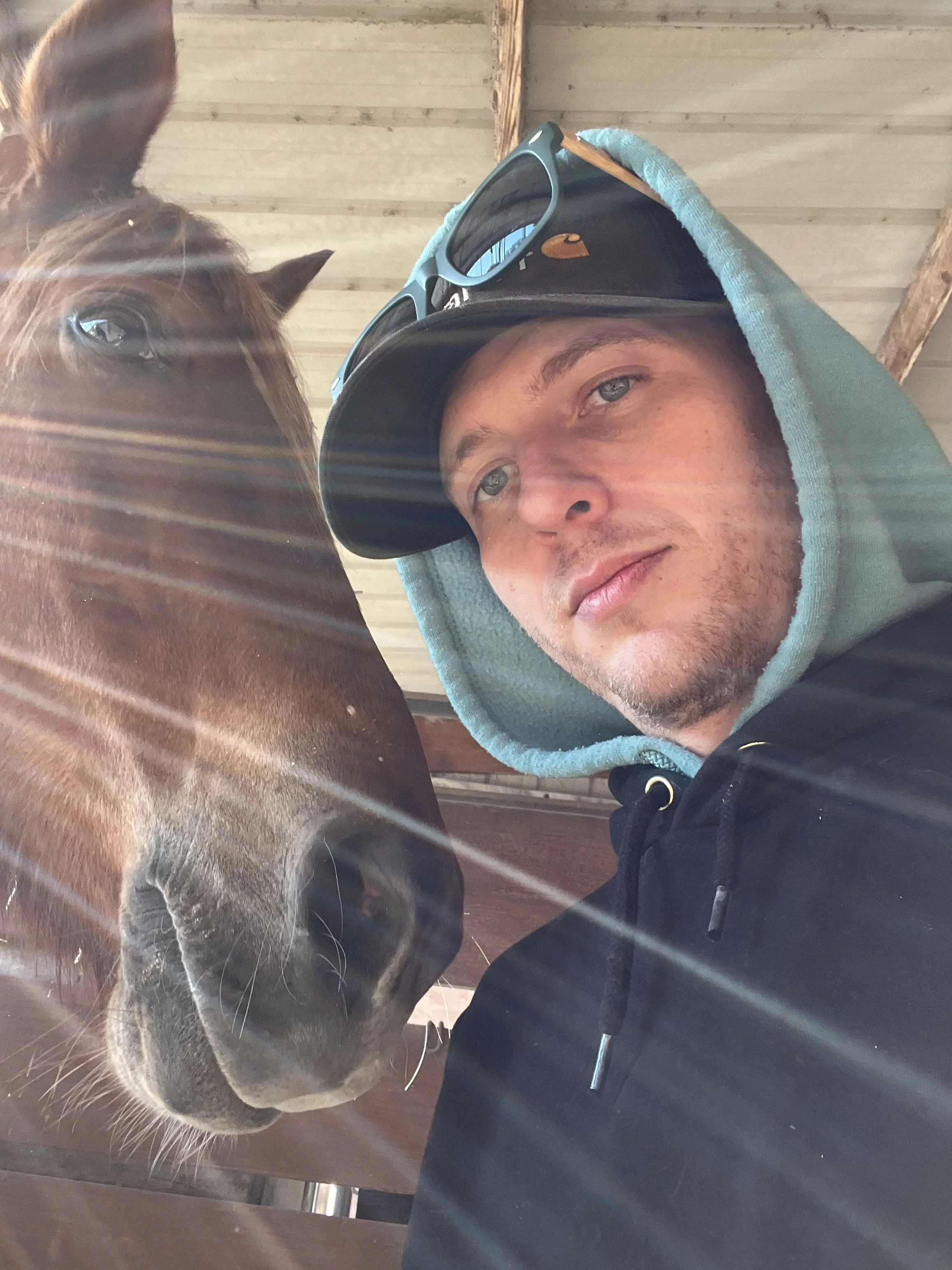 A man with blue eyes and light facial hair, wearing a hoodie and sunglasses, taking a selfie with a horse in a stable. The horse has a chestnut coat, a large nose, and is close to the camera.