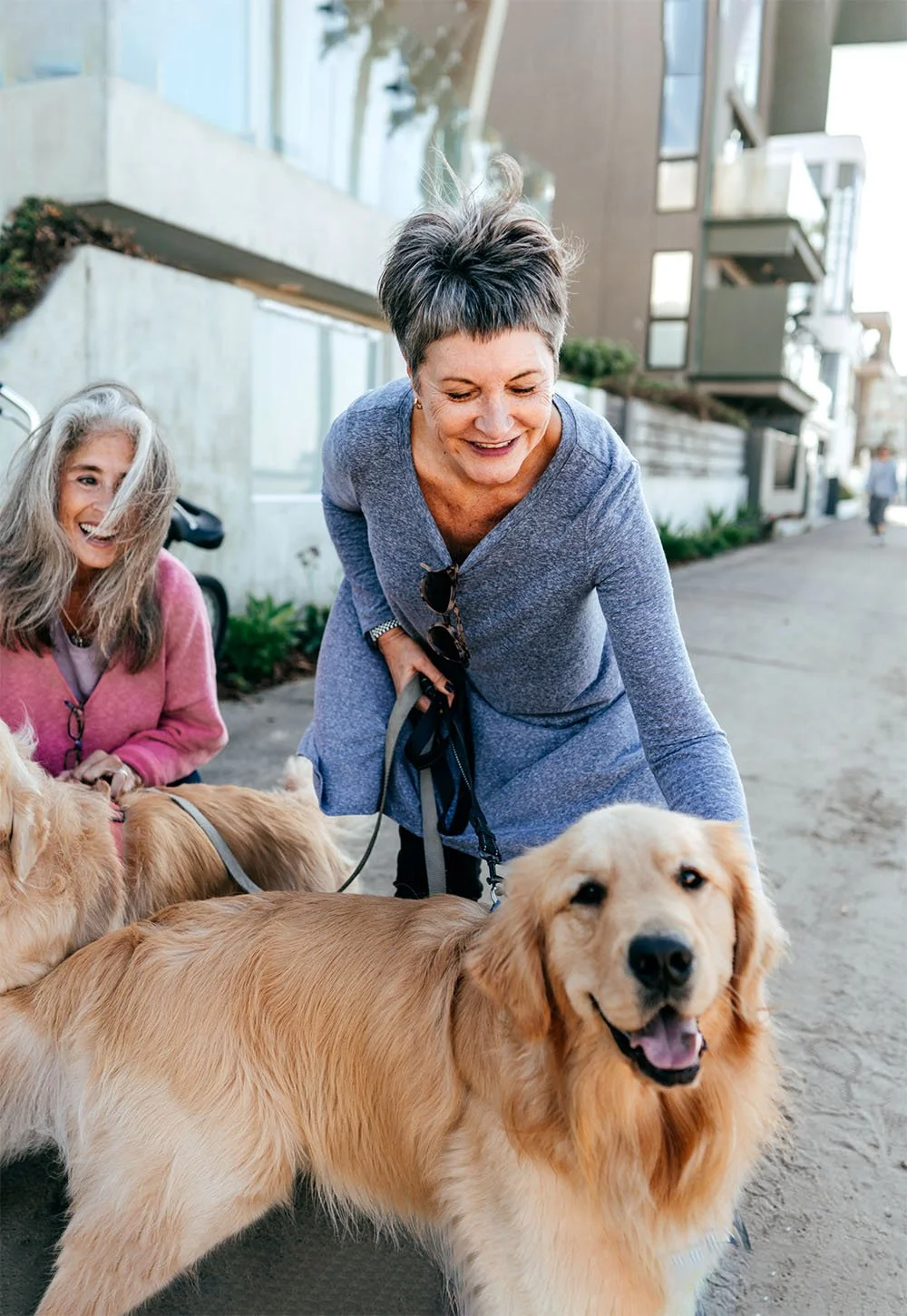 Women walking dogs, representing family legacy and financial planning for future generations at Up Wealth Management financial adviser based in Canberra.