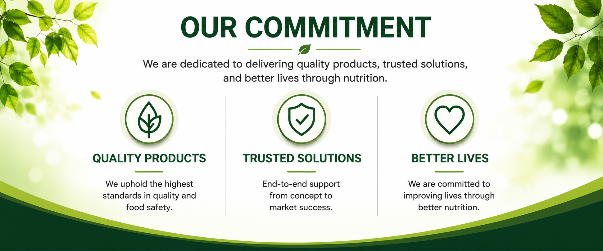 At Jit Hing Food Stuff Sdn Bhd, we are committed to delivering high quality nutraceutical and health food solutions that meet the evolving needs of consumers worldwide. Since 2008, we have partnered with brand owners, entrepreneurs, and healthcare co