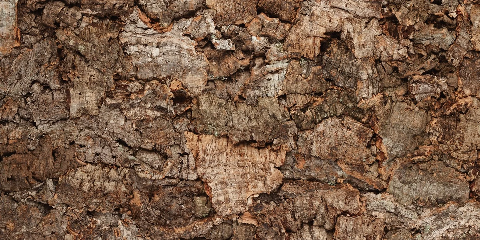 Terra - Bark