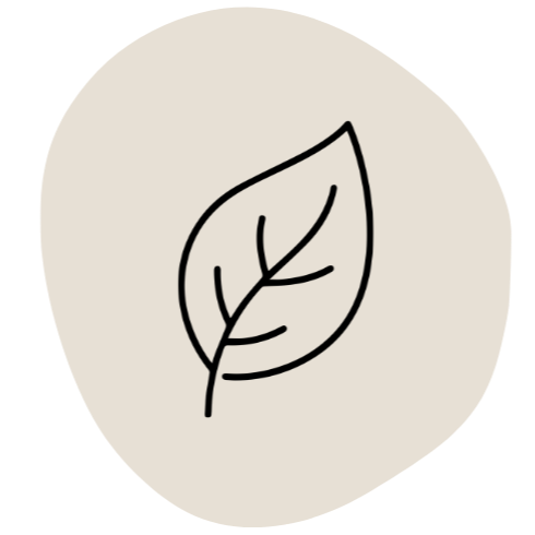 Line drawing of a single leaf with detailed veins on a light circular background.