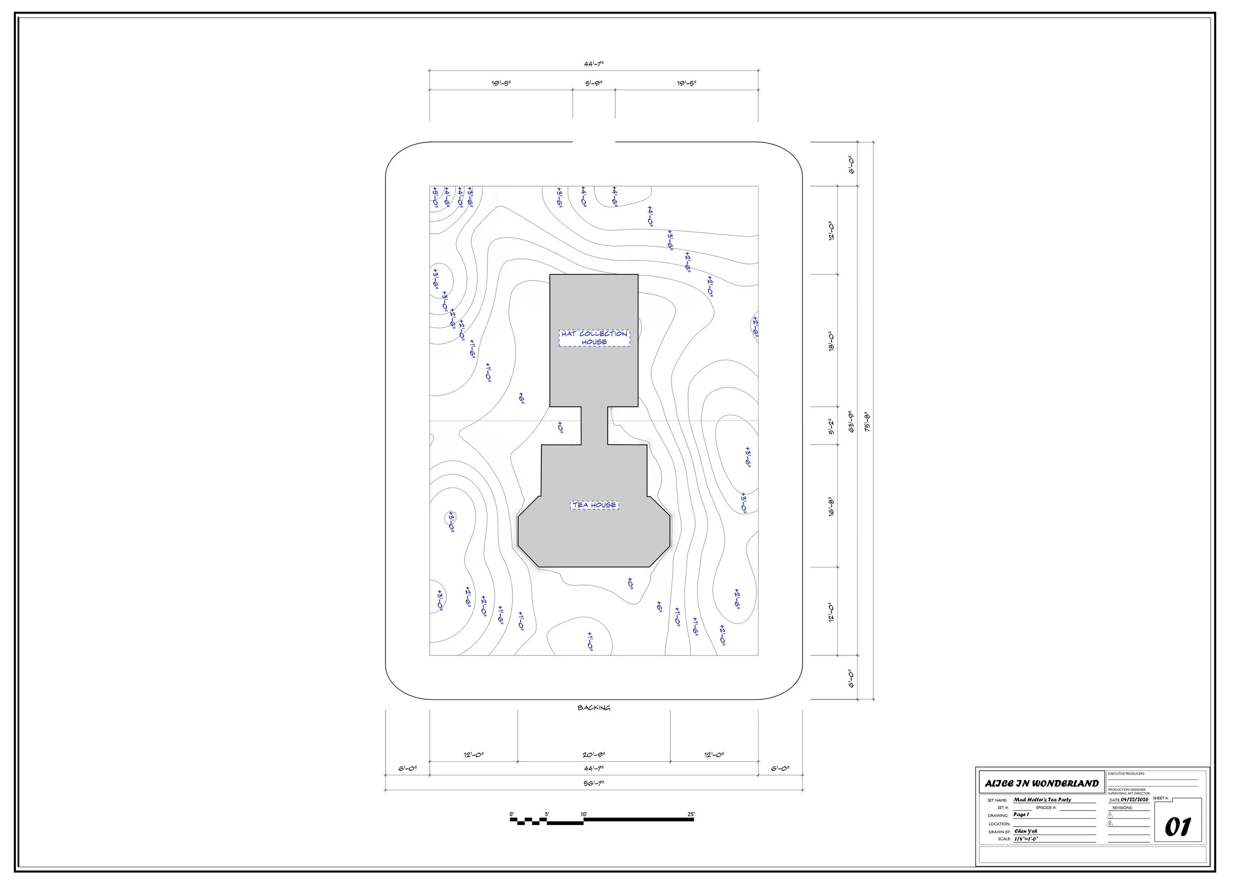 Topography Plan