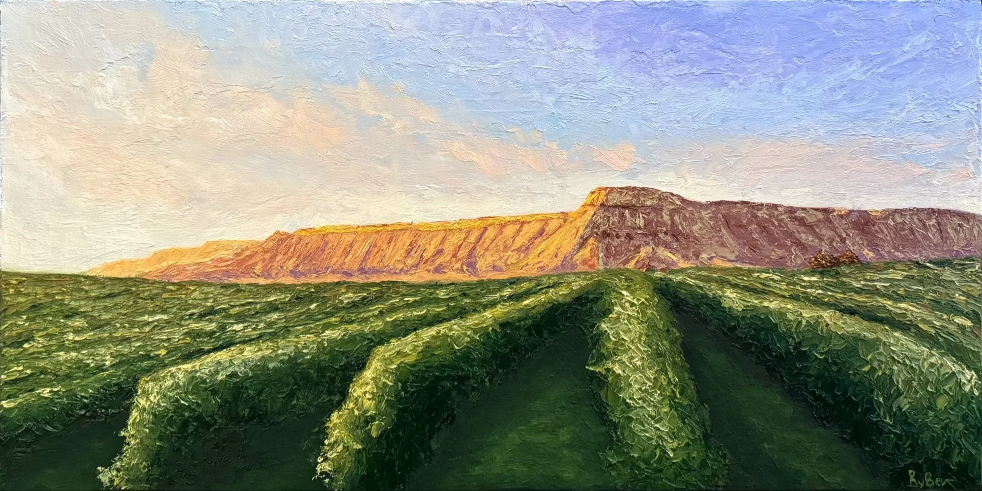 Colorado Wine Country.jpg