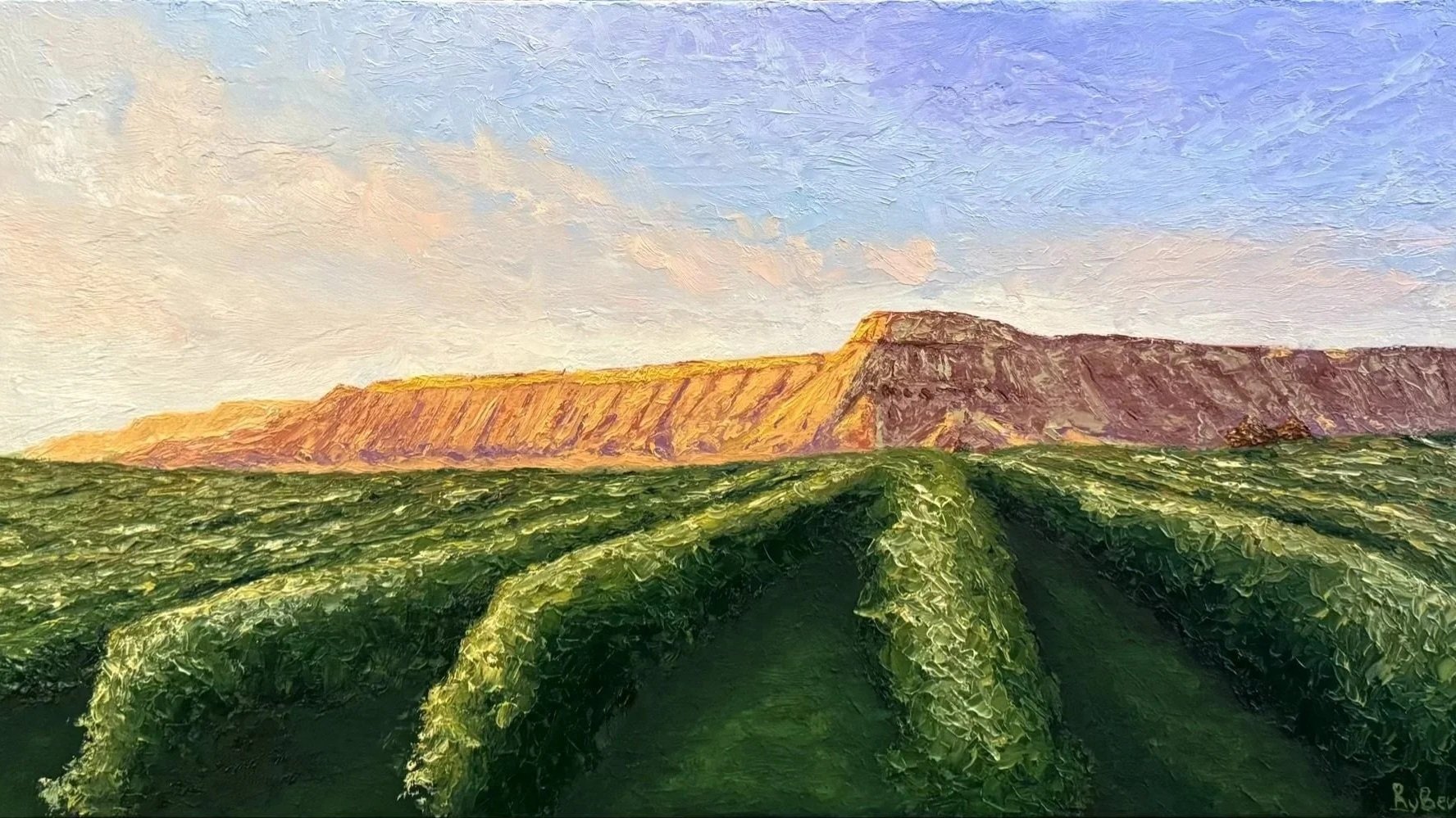 Colorado Wine Country