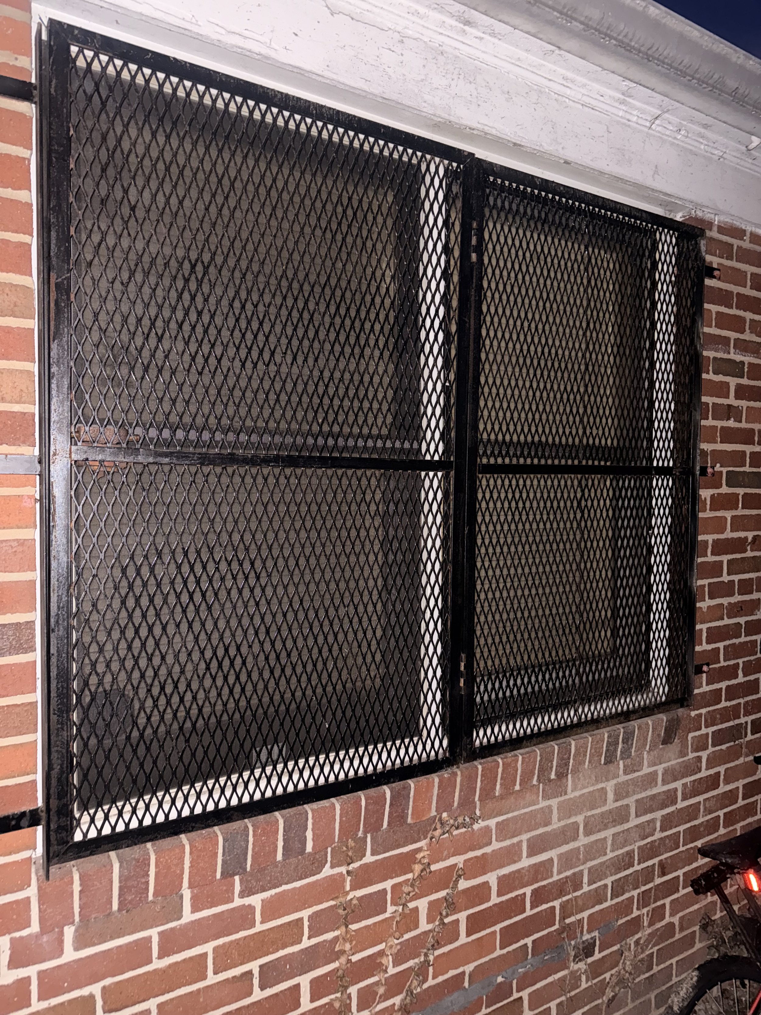 A metal security screen door covering a window, mounted on a brick wall, with some dried leaves and a bicycle at the bottom.