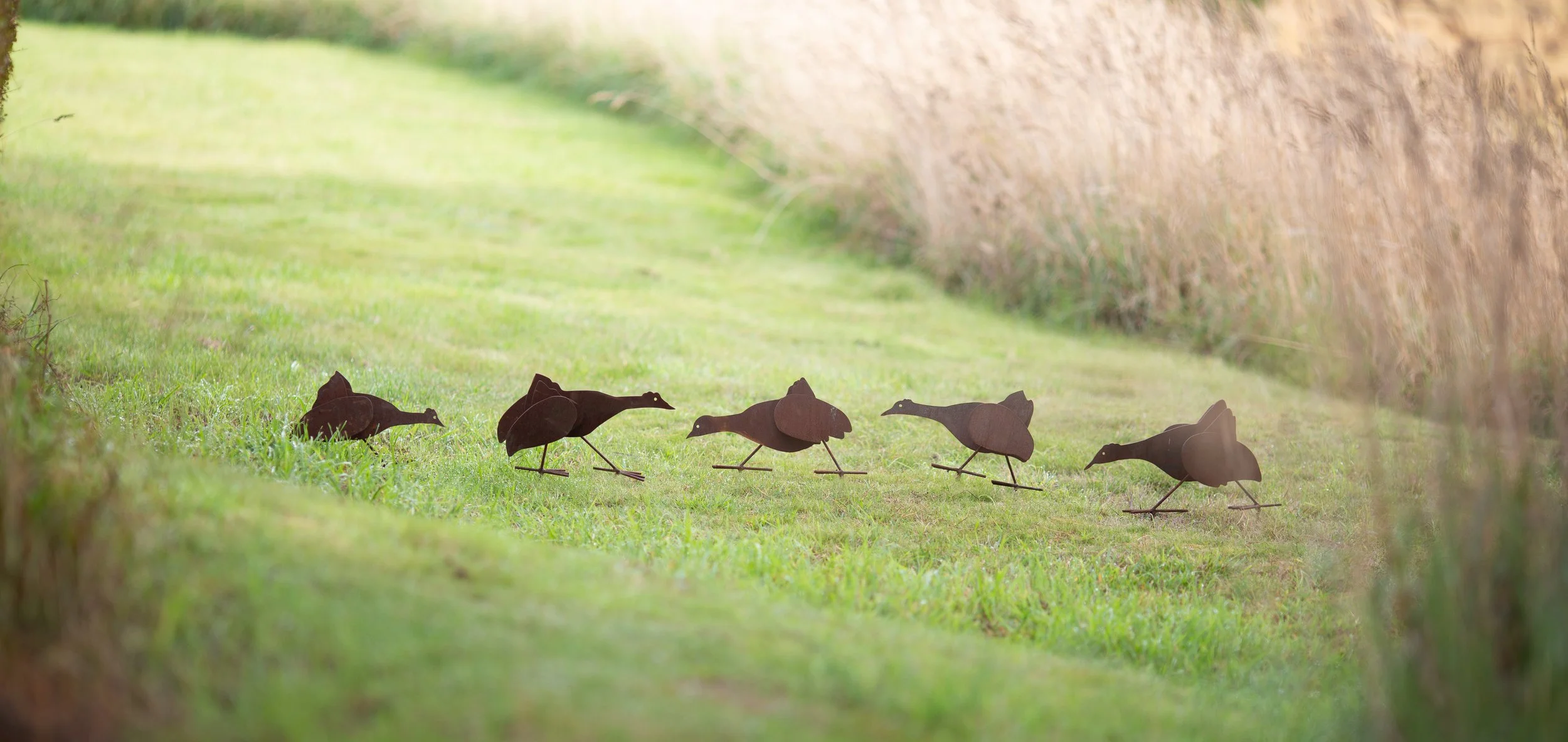 Five metal bird sculptures walking in a line on a grassy pathway bordered by tall grass.