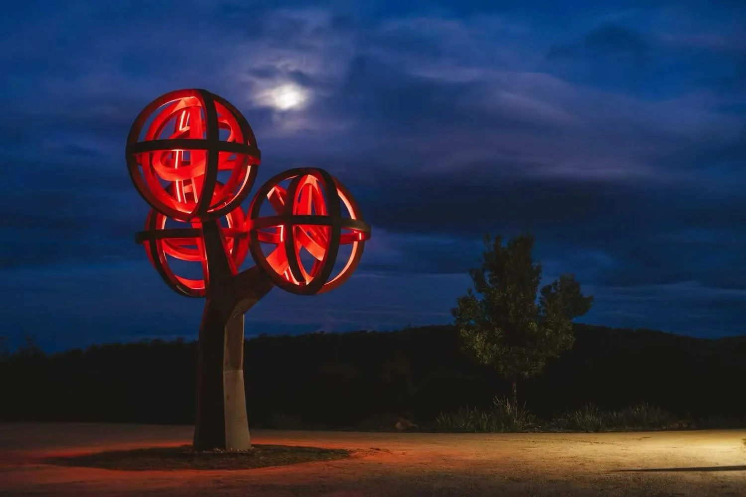 illuminated tree at Freycinet resort