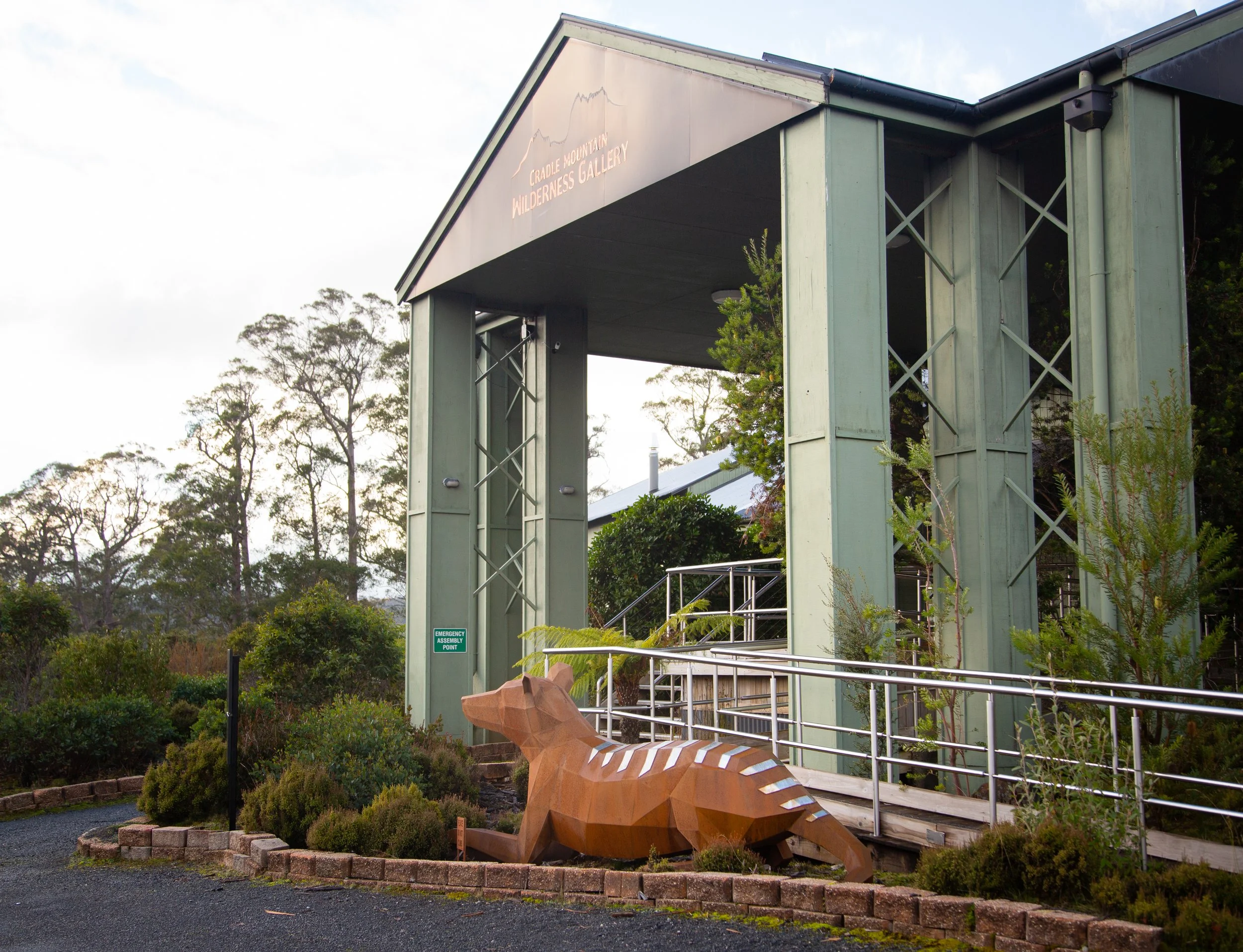 stripe the tassie tiger at cradle mountain wilderness gallery