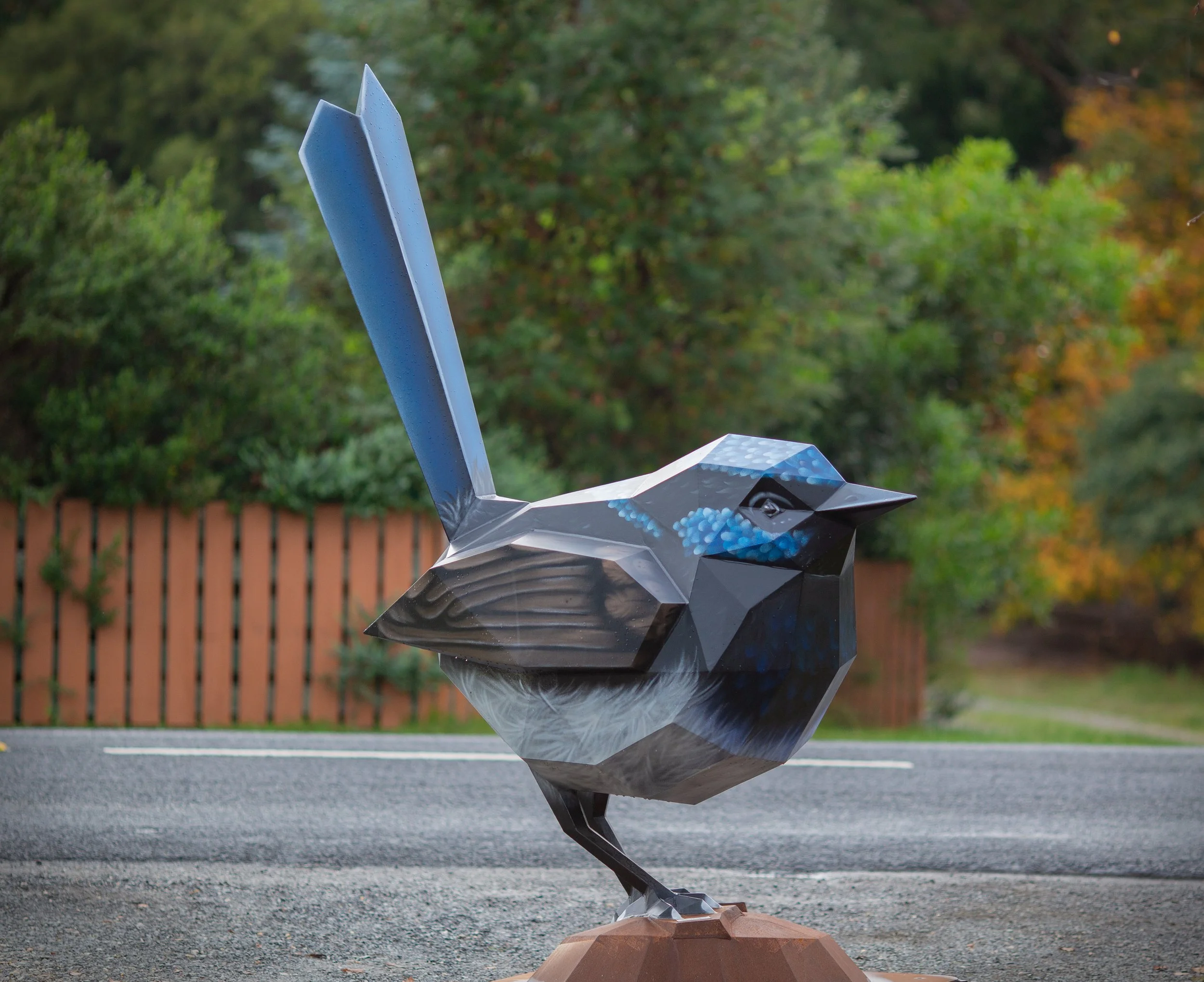 Benny the Blue Wren