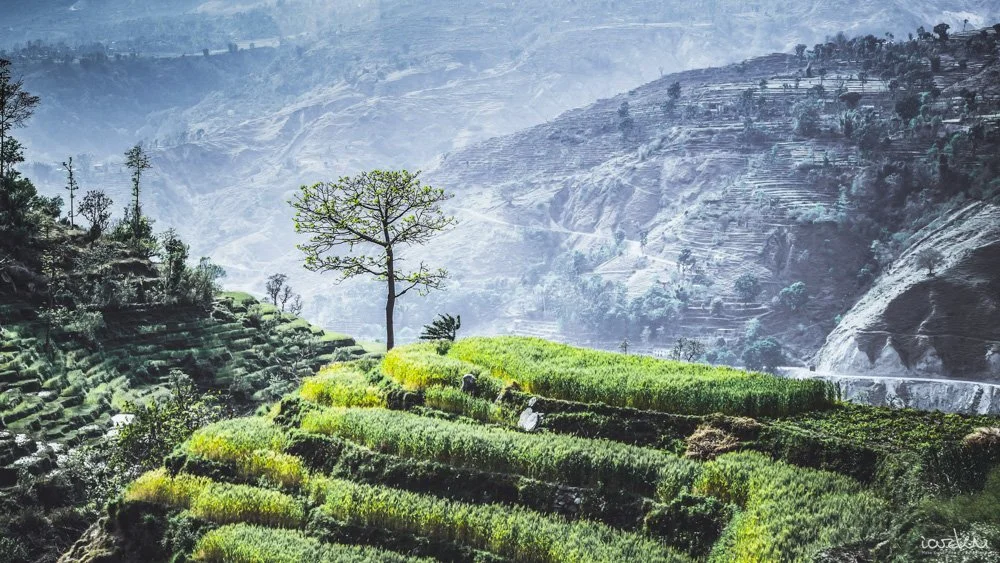 WHERE THE EARTH BREATHES