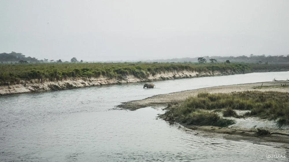 THE BIG GIANT | SAUHARA, CHITWAN | NP