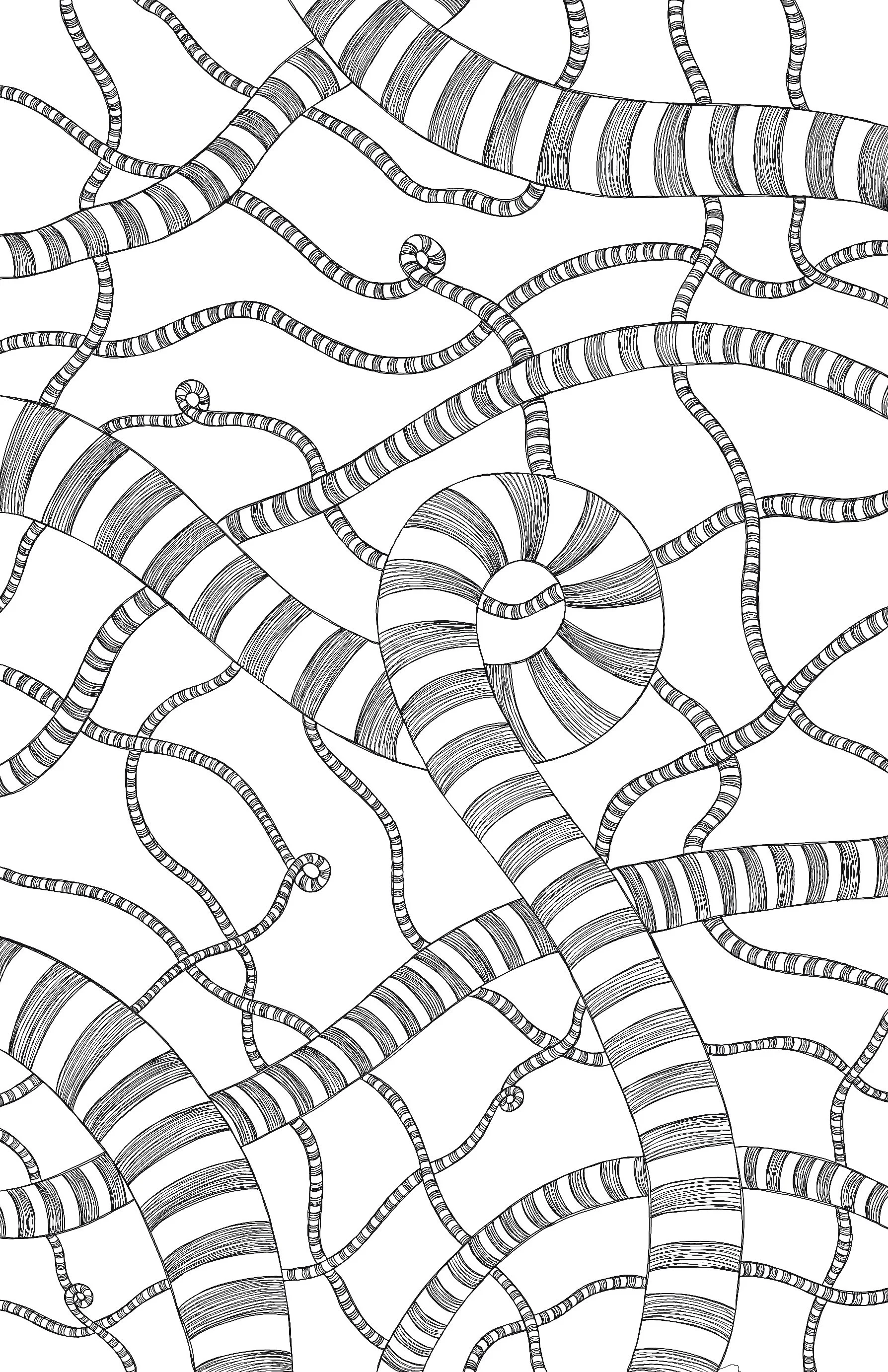 Untitled_Artwork 1 copy.jpg