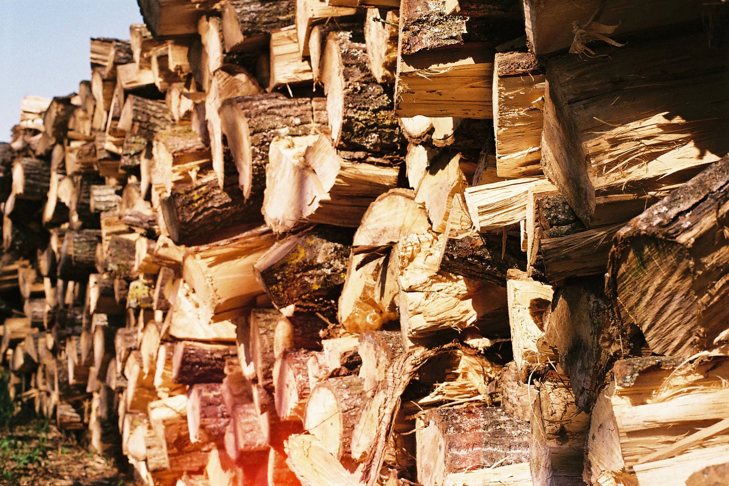 A large stack of chopped firewood logs outdoors, showing various sizes and textures of wood, with sunlight illuminating parts of the wood pile.