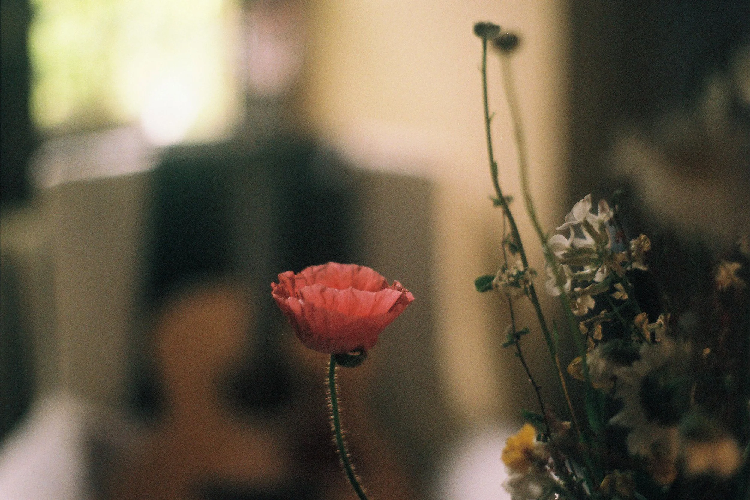 Close-up of a pink flower among various dried and fresh flowers on a blurred indoor background.