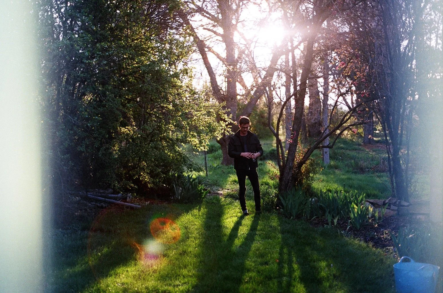 A young man stands in a lush garden with trees, plants, and grass, illuminated by sunlight through the branches, holding a camera and looking down, with long shadows cast on the ground.