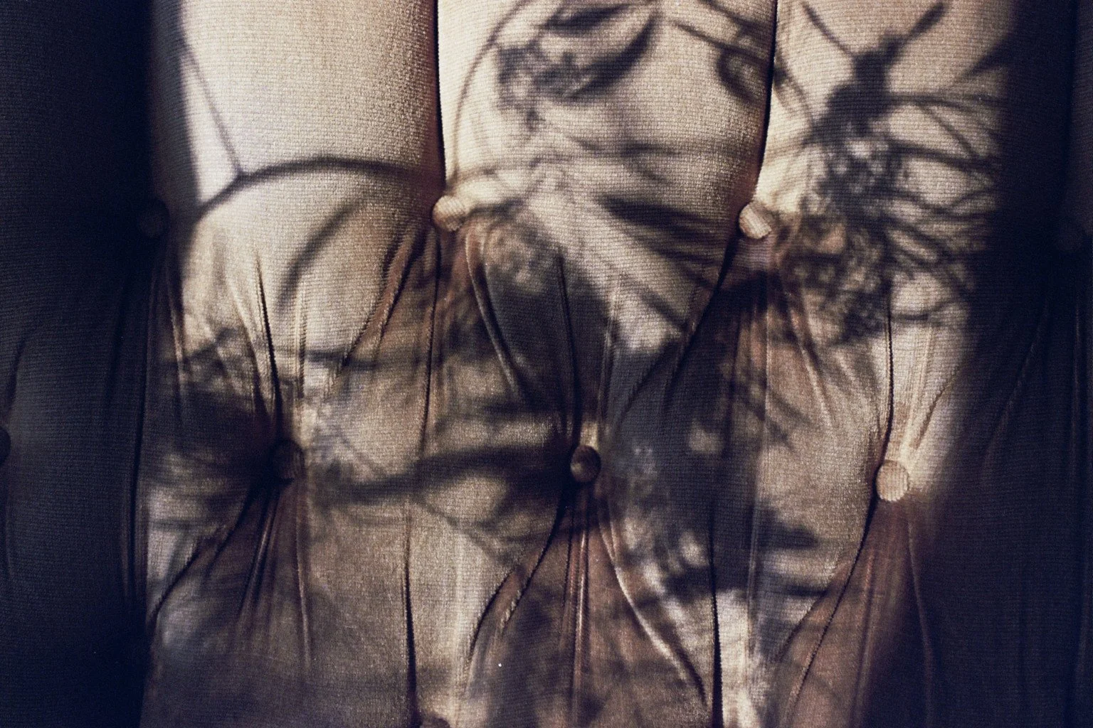 Shadow of a plant with thin branches and small leaves cast on a tufted beige fabric surface.