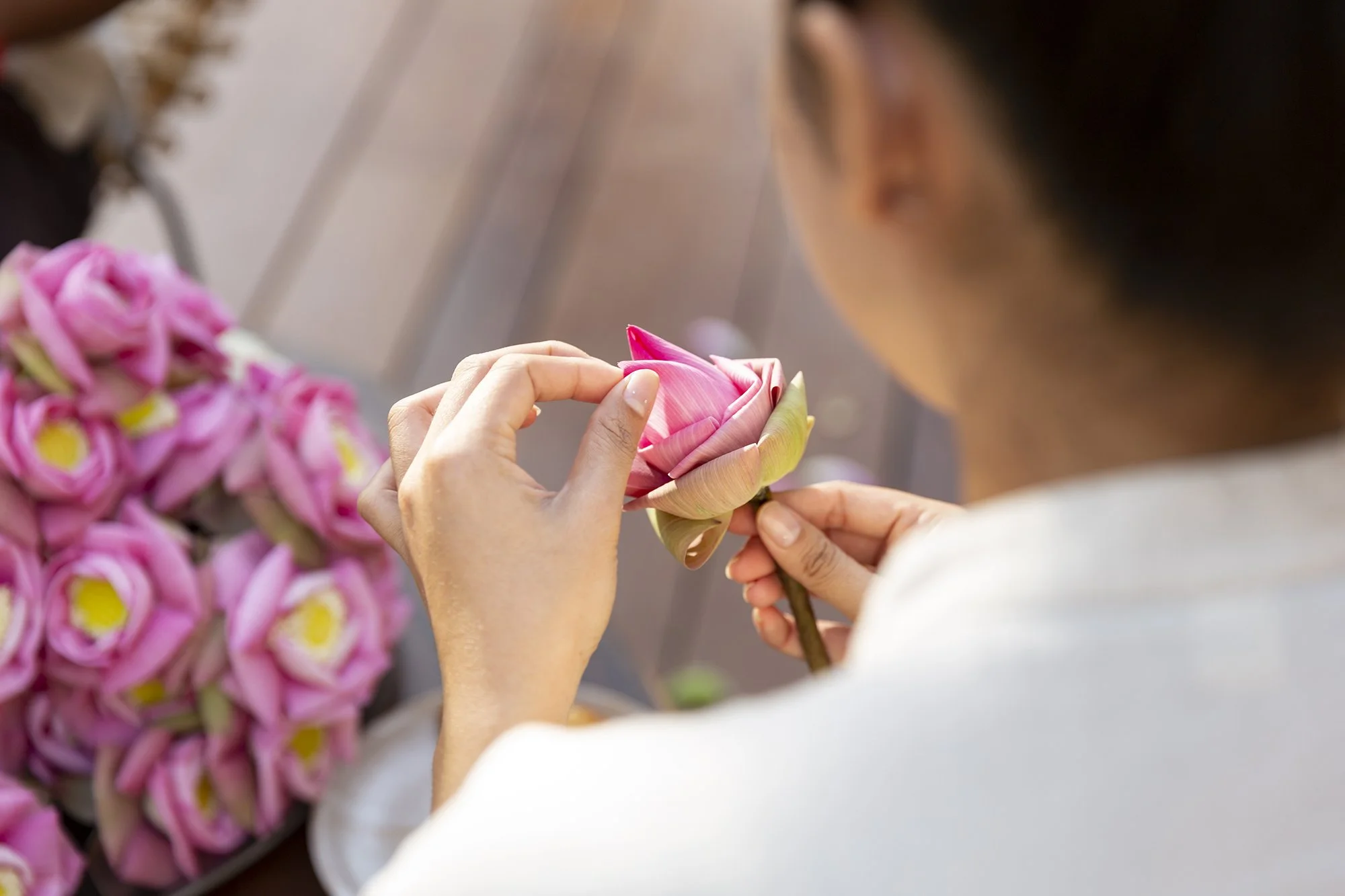 FCC Angkor - Lotus Folding.jpg
