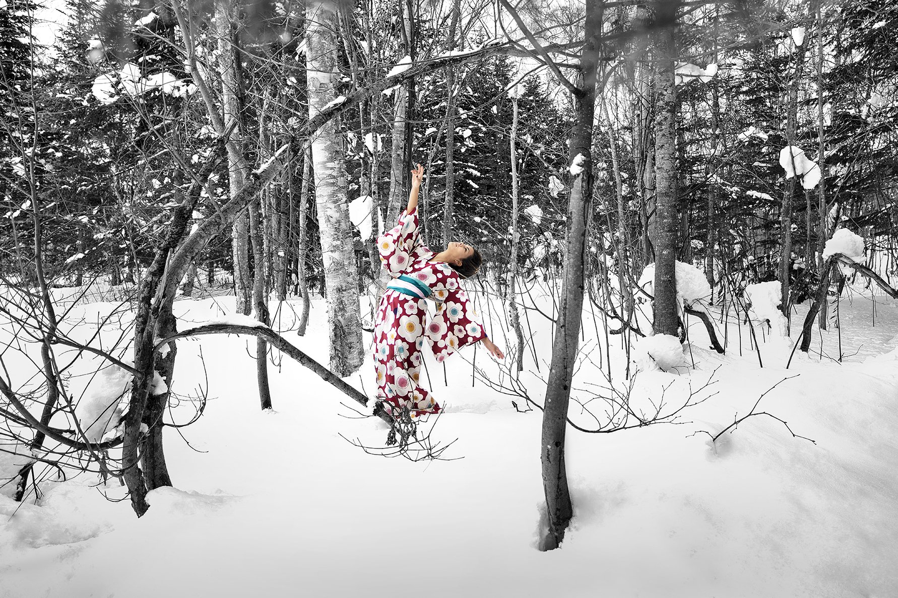 The Pavilions Niseko Snow Model.JPG