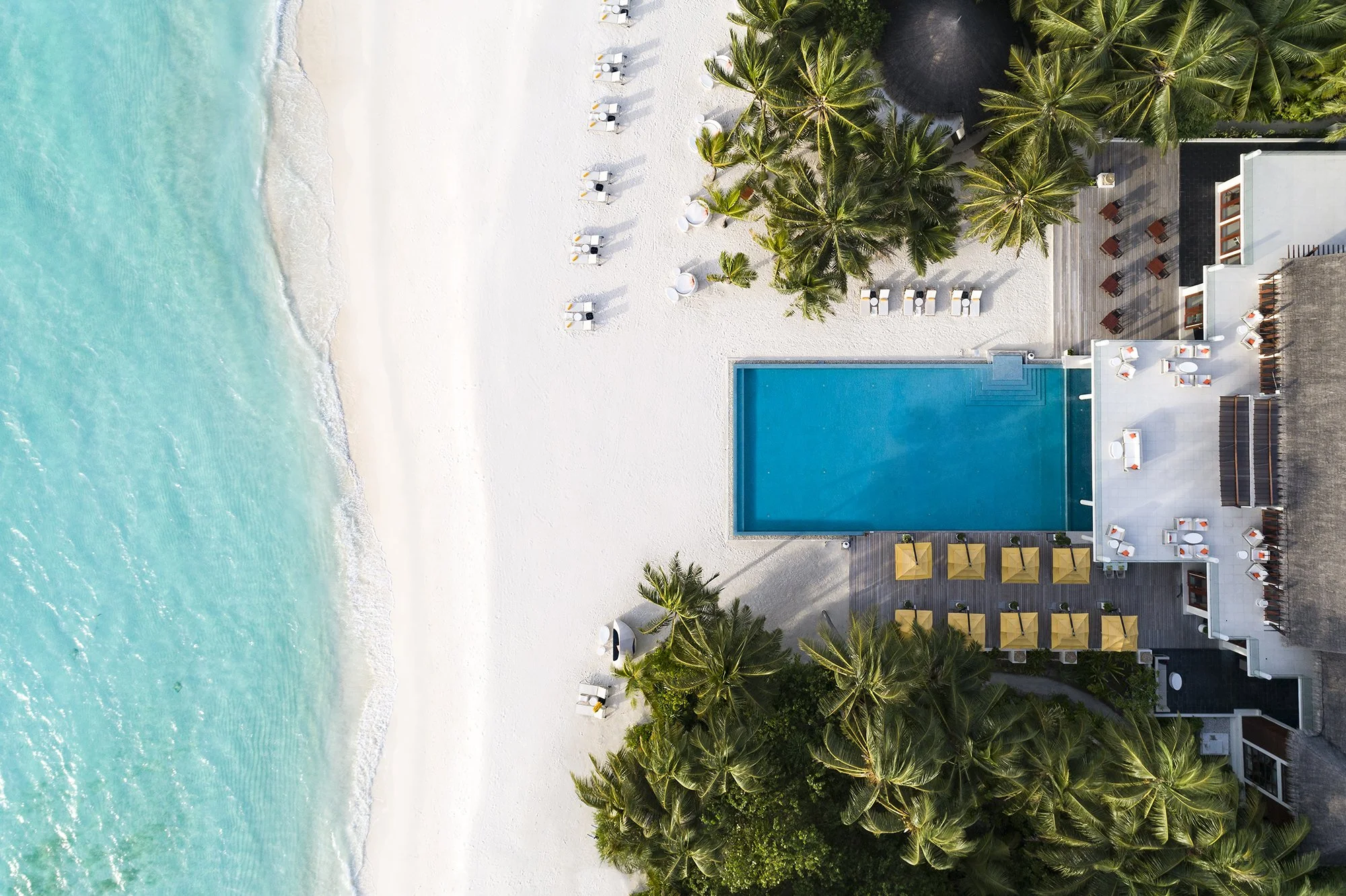 Niyama - Pool Epicure Aerial 02.jpg