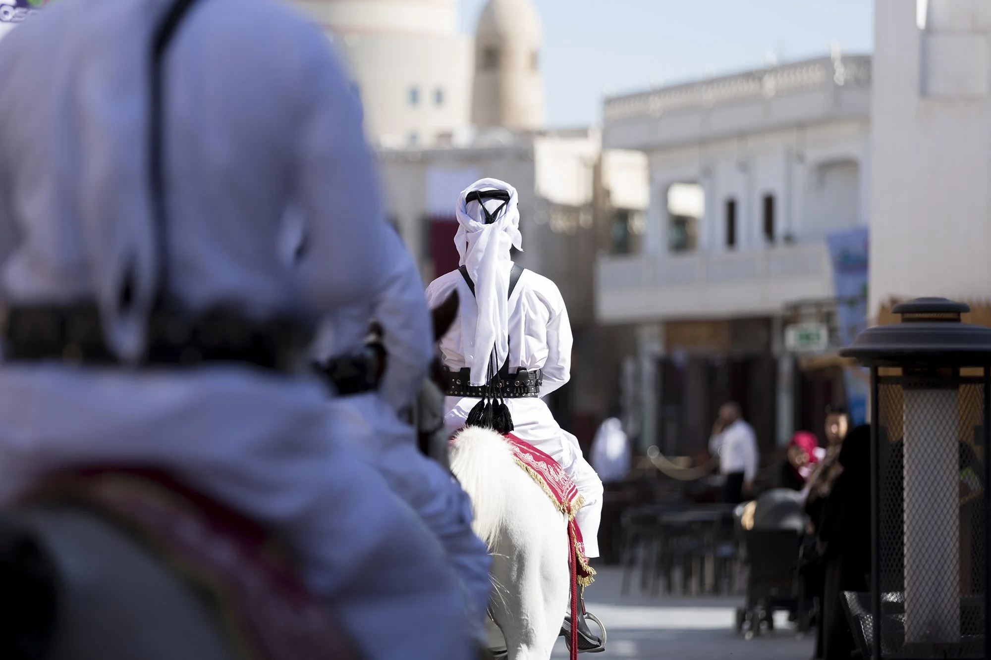Doha Horse Palice 2.jpg
