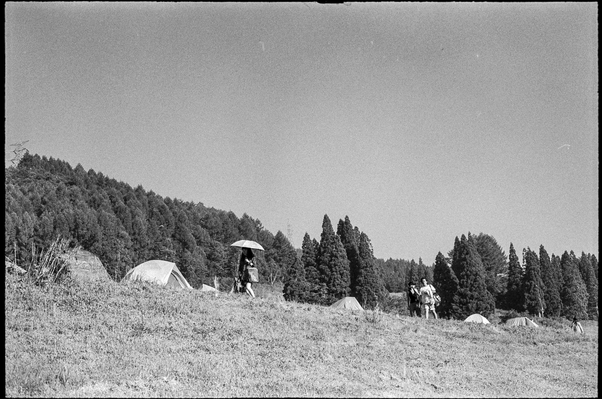 frf-4.JPG