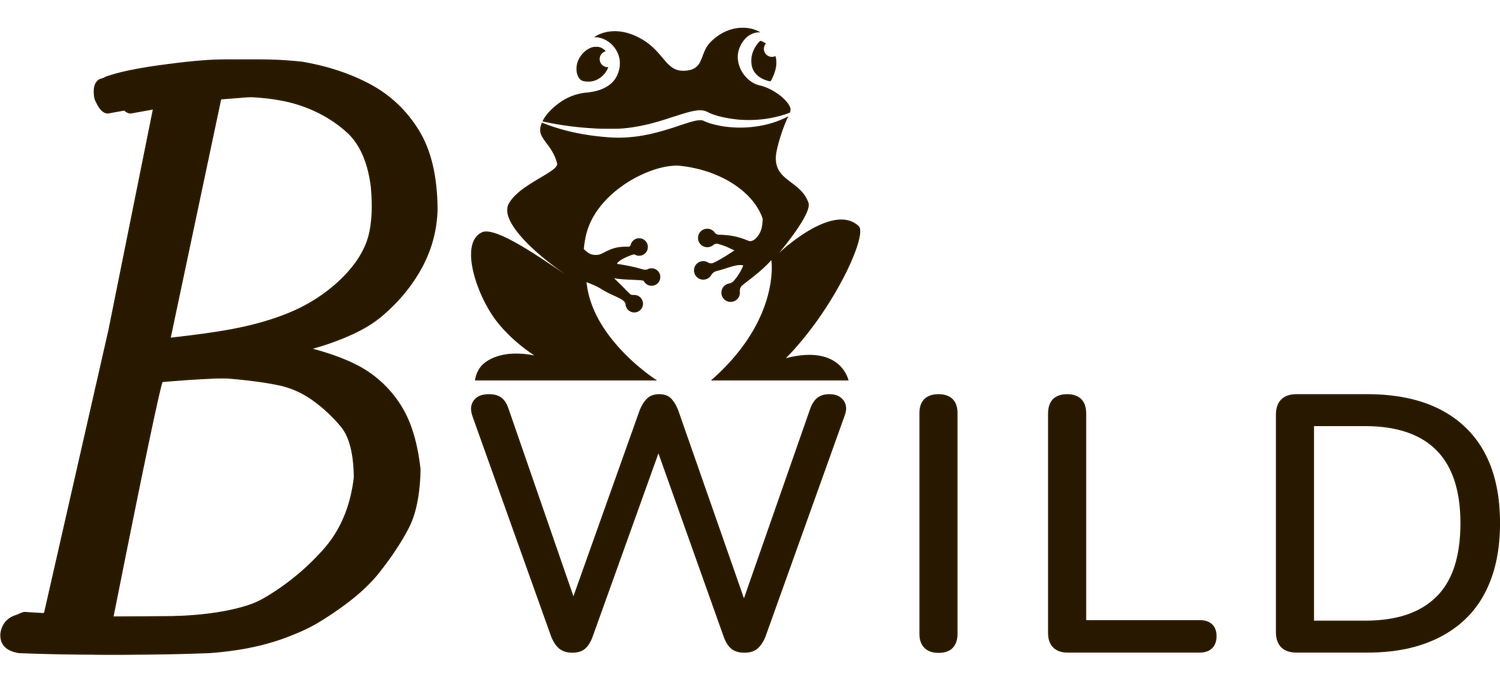 Bwild