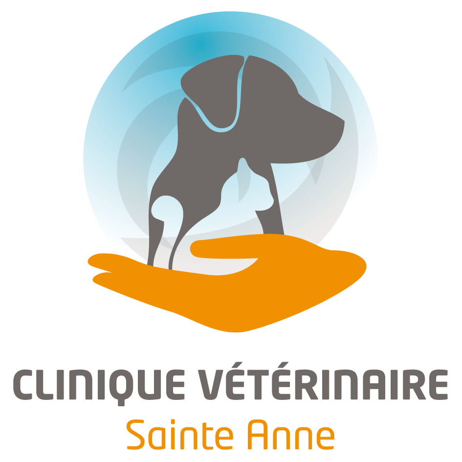 logo-STANNE-OK-1.png