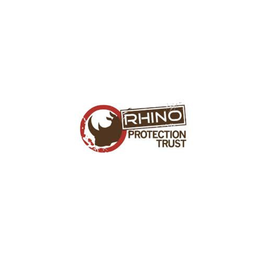 19.png