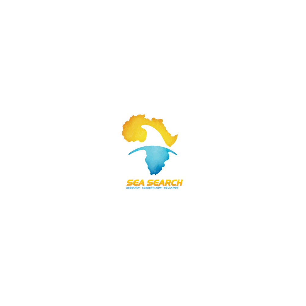 31.png