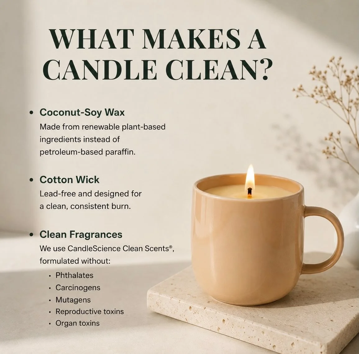 Not all candles are created equal and some things just aren&rsquo;t worth the price. Choose the candles you can feel good about burning in your home! 🩷🏡