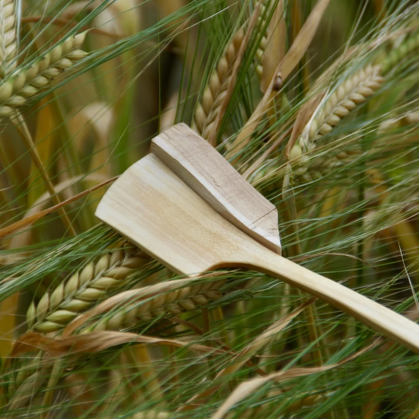 &bull;
Sometimes the blanks crack, often it ruins the spoon and once in a while it just works out. This one became a small flipper, spatula for qual eggs maybe. Inspired by the works and forms of @myron_unrau 's spatulas.
&bull;
&bull;
&bull;
&bull;
