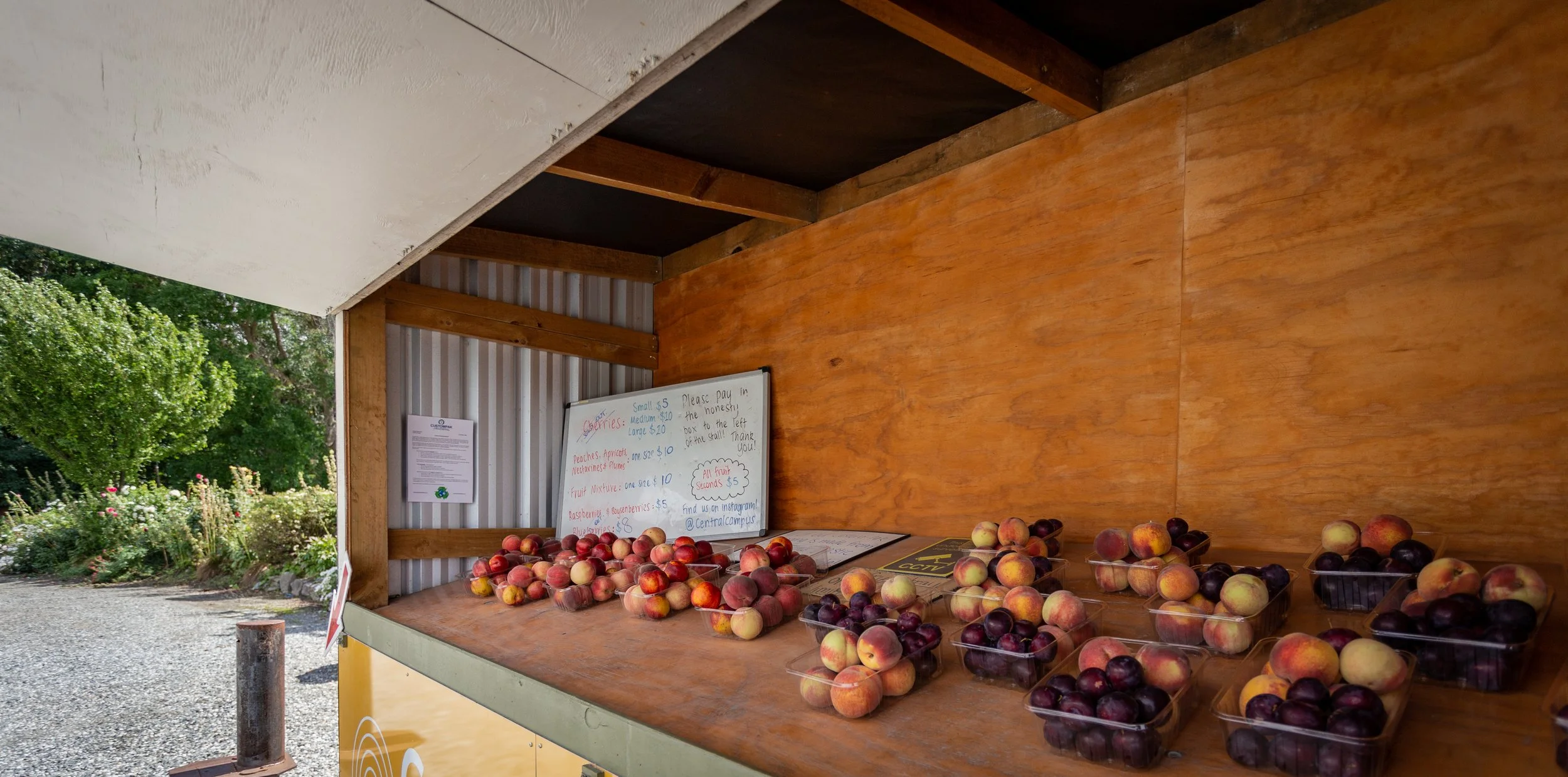A fruit stand with fresh peaches and plums, a whiteboard with prices and instructions, and trees in the background.
