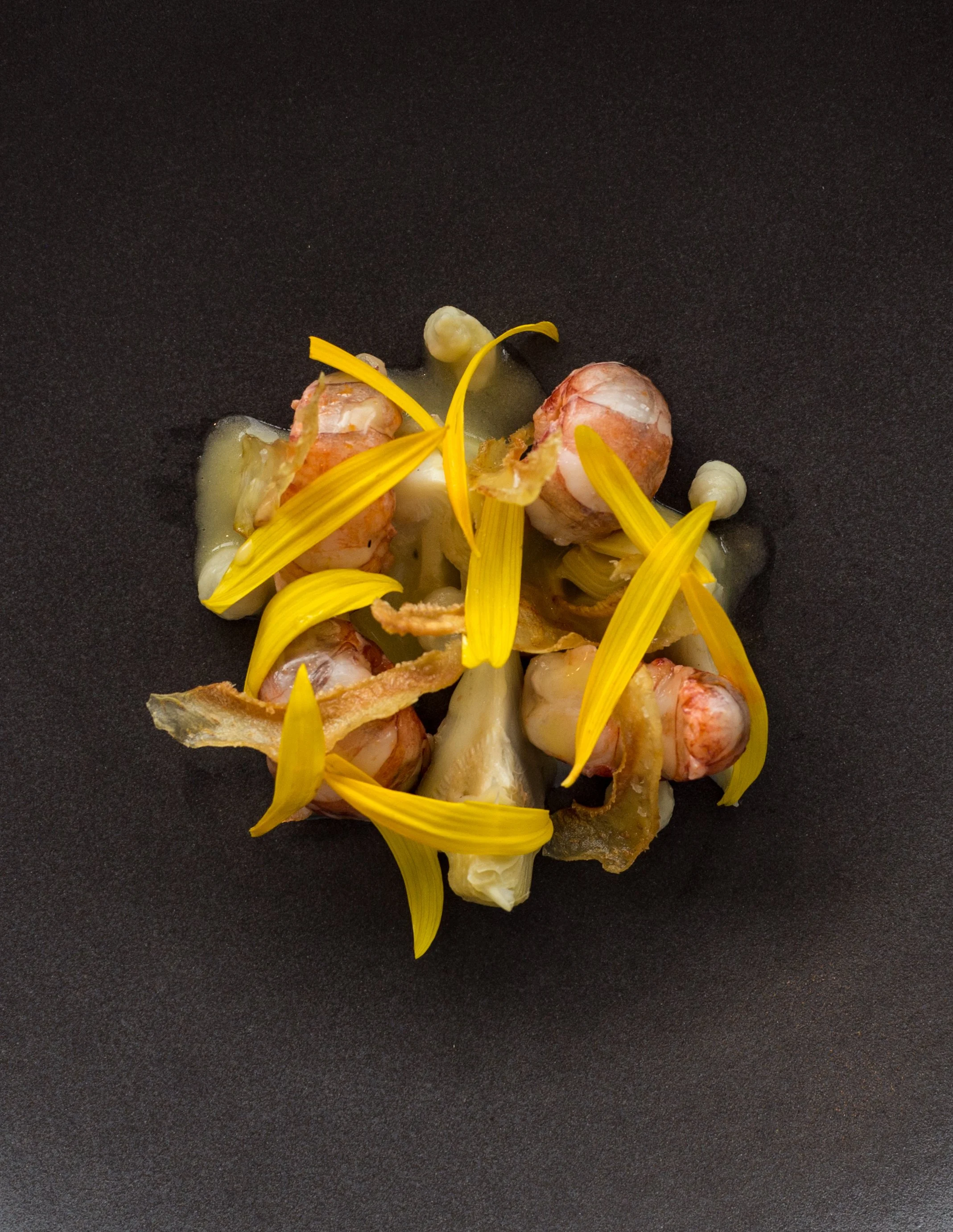 Close-up of a black plate with a food presentation that includes lemon peel strips, small round seafood, and a sauce or creamy substance.