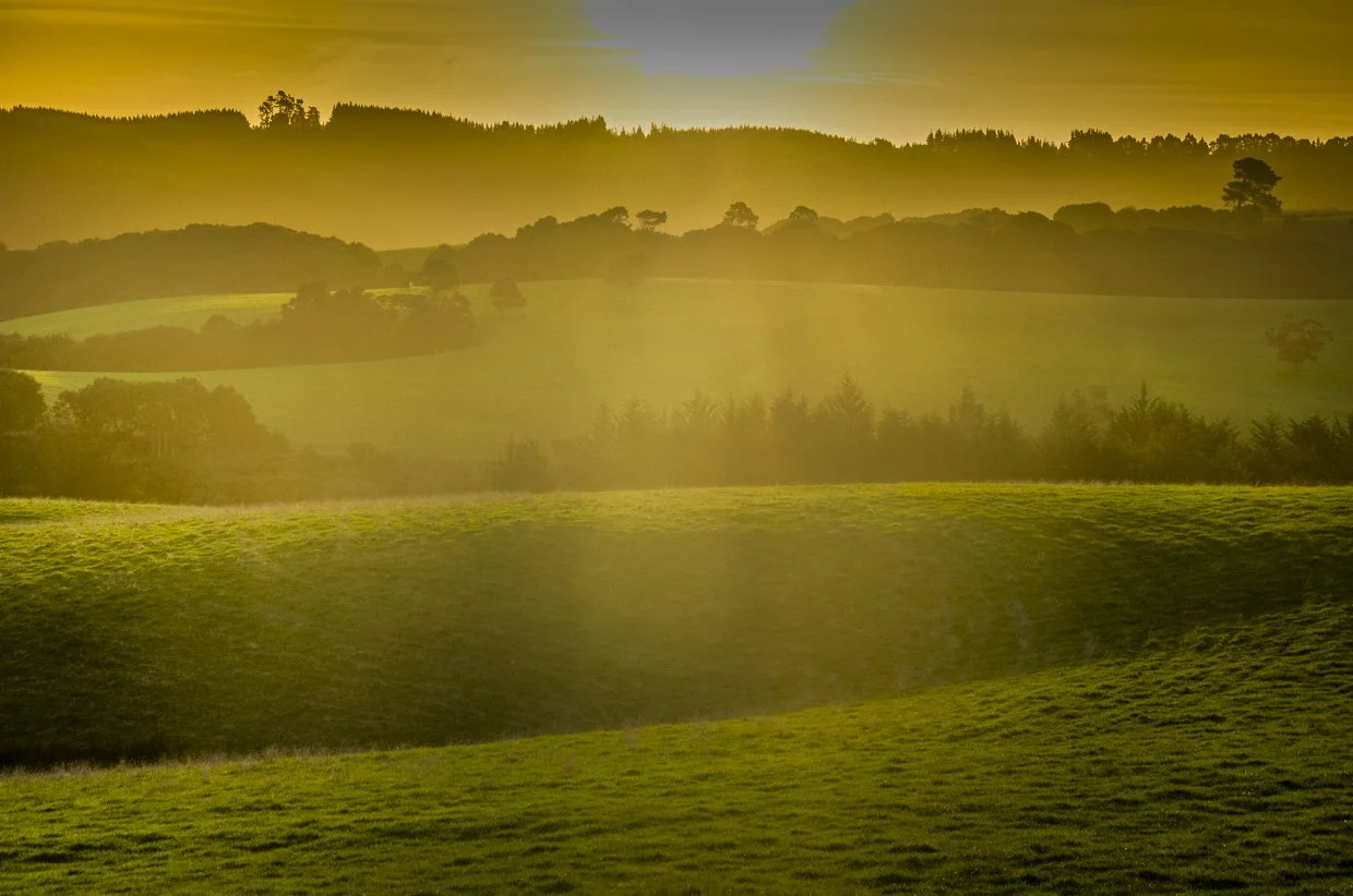 Hilly landscape with green fields and trees, golden sunlight illuminating the scene during sunset or sunrise.
