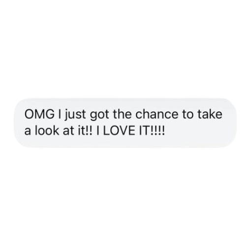Text message saying, "OMG I just got the chance to take a look at it!! I LOVE IT!!!!"