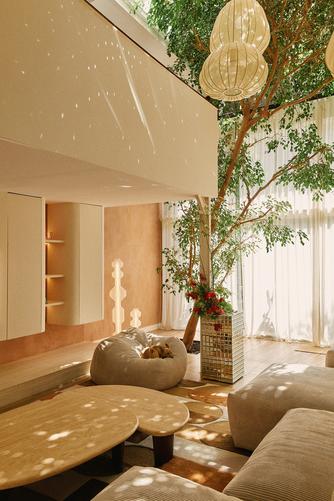 Un salon lumineux avec un arbre intérieur décoratif, des lampions suspendus, un chien couché dans un coussin, et des meubles en bois clair avec rideaux blancs.